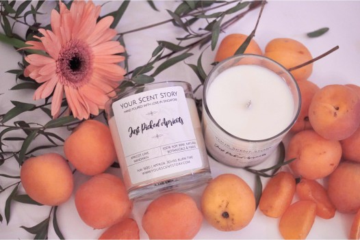 Just Picked Apricots